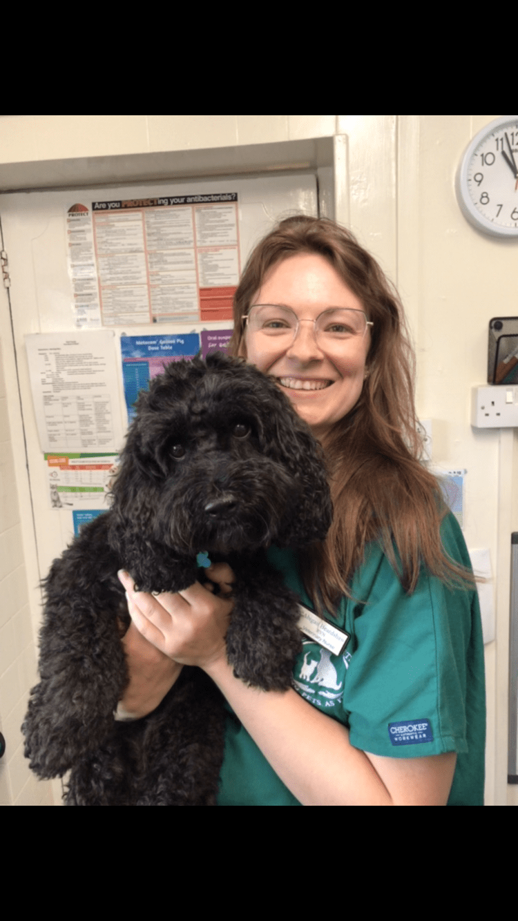 Haywards Heath – The Mewes Vets