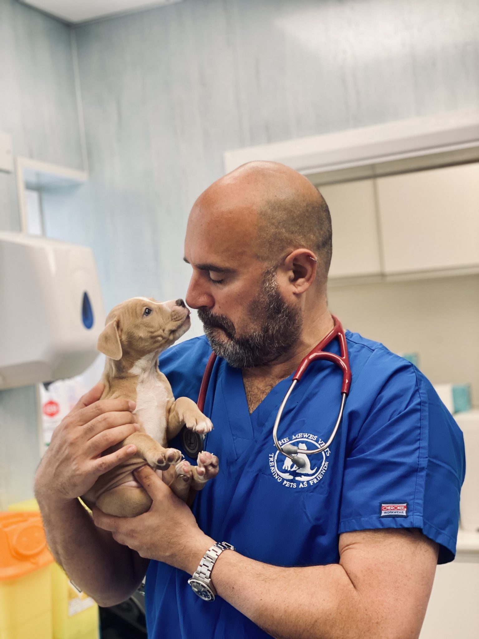 My journey on how I wanted to a veterinarian Dr Marc Abraham OBE The Mewes Vets