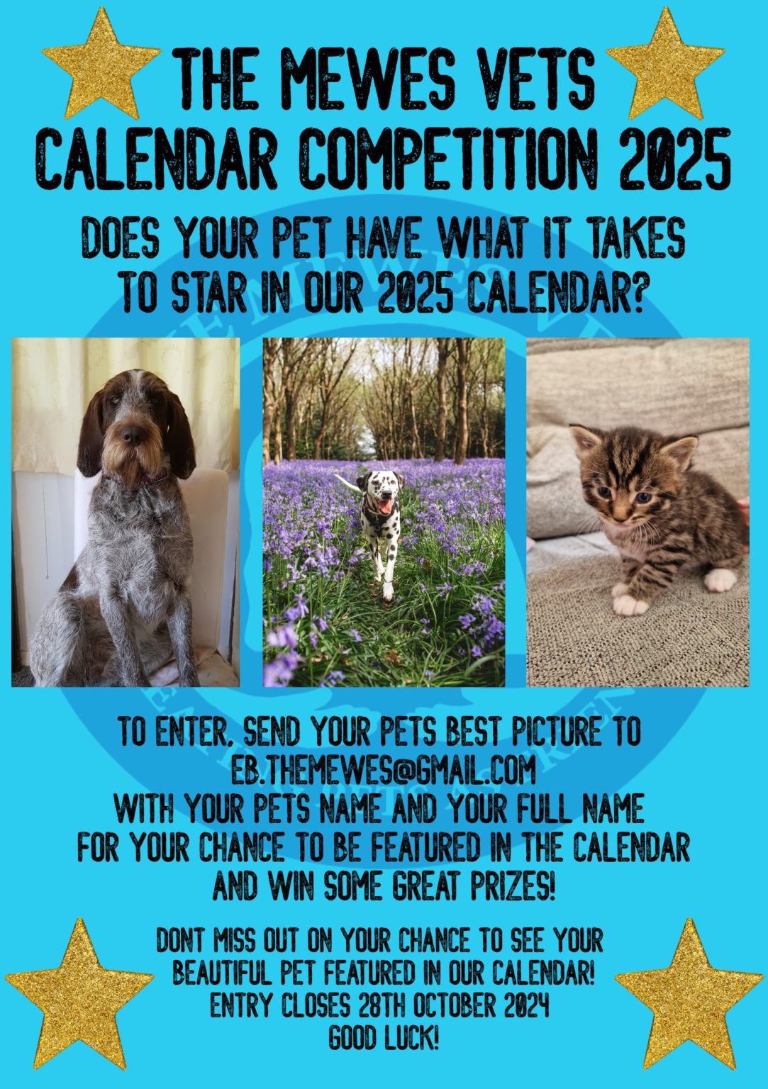 The Mewes Vets Calendar Competition 2025 The Mewes Vets