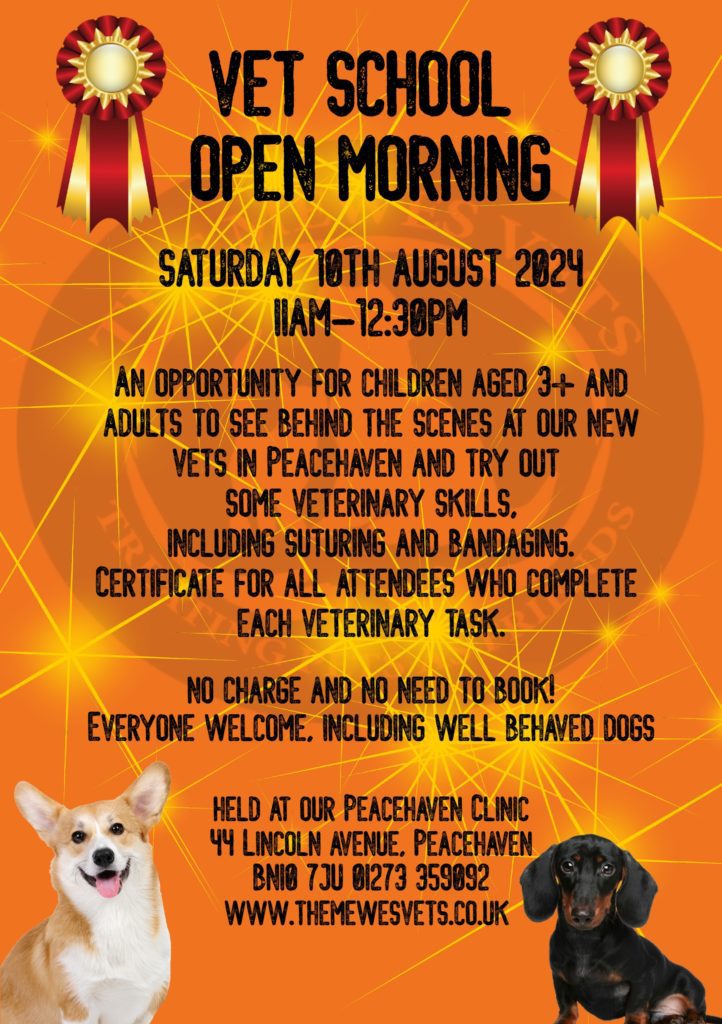 Vet School Open Morning - The Mewes Vets