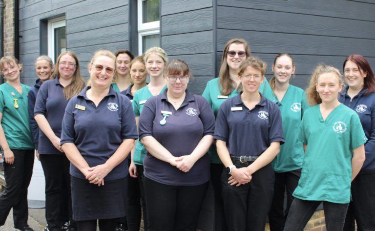 The Mewest Vets team welcomes you